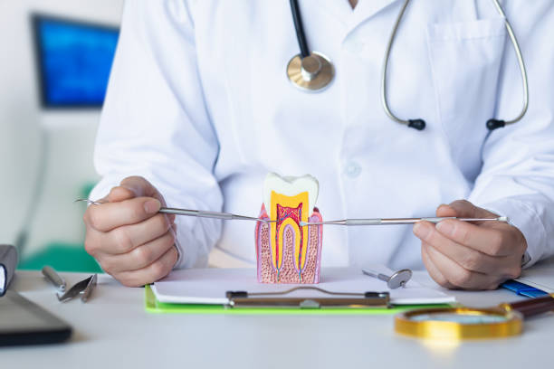 Best Emergency Tooth Extraction  in Mcadenville, NC
